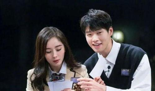 娱乐圈爆料流浪狗仔,娱乐圈爆料背后的流浪身影